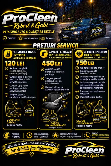 Detailing Auto si Curatare Canapele .