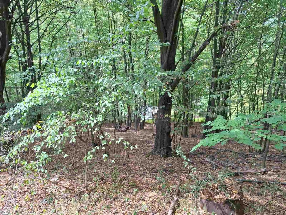 Продава се Парцел в София, Слатина - 600 кв.м за 38 €/кв.м - Снимка #3