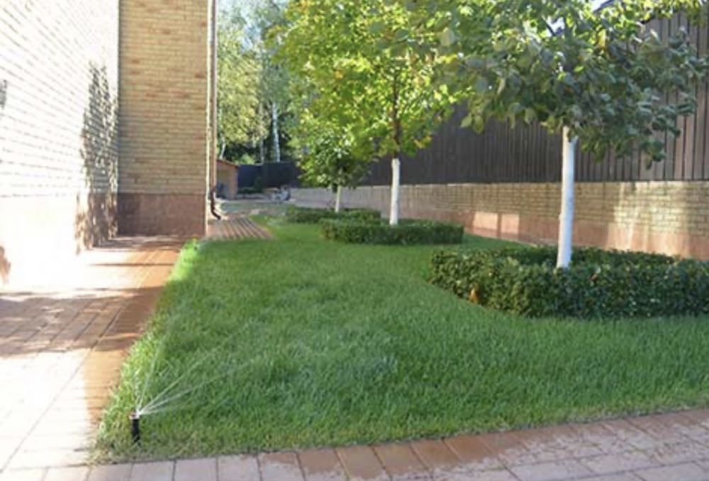 Газон Посевной и рулонновый