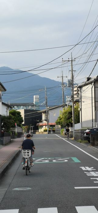 Huawei Honor 20 Pro 256 Gb акб 100%