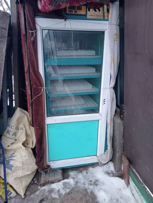 Инкубатор для яиц