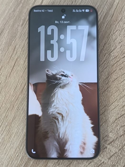 Vivo X300 Pro глобальная версия