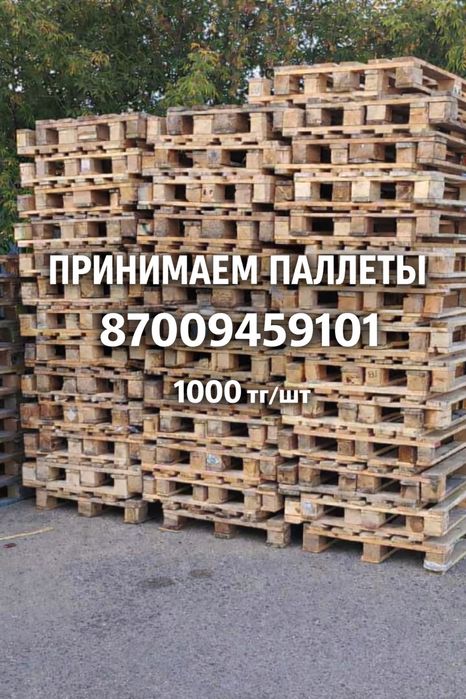 Принимаем Палеты, Поддоны 1000  тг