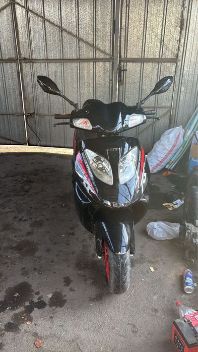 Продам феерик ратон