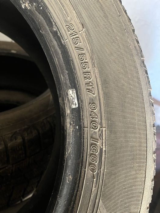 Шины липушка зима