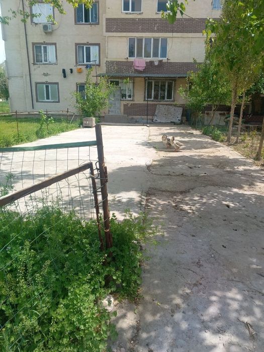 Uzim yashagan kvartera sharoitlari zoʻr pul zarur
