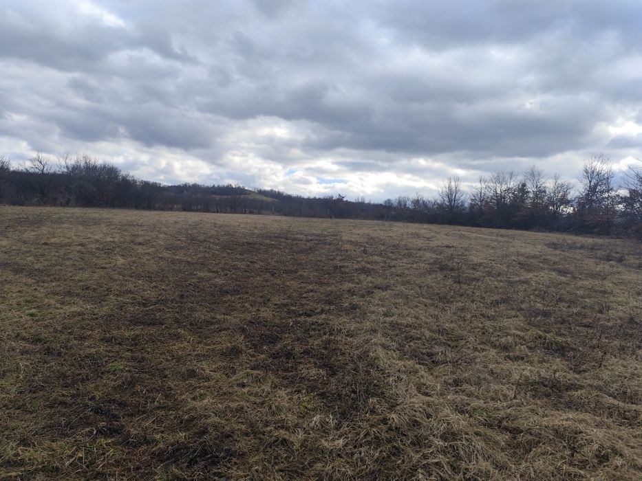 Caut colaborare,parteneriat afacere turism, agrement etc. Rog citiți