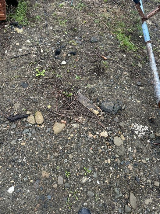 Колесар за лодка до 6м