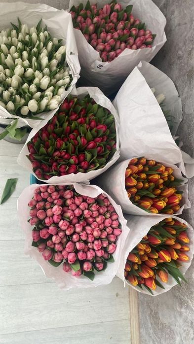 Тюльпаны к празднику, Красиво и доступно