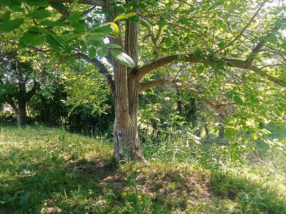 Продается дом хороший