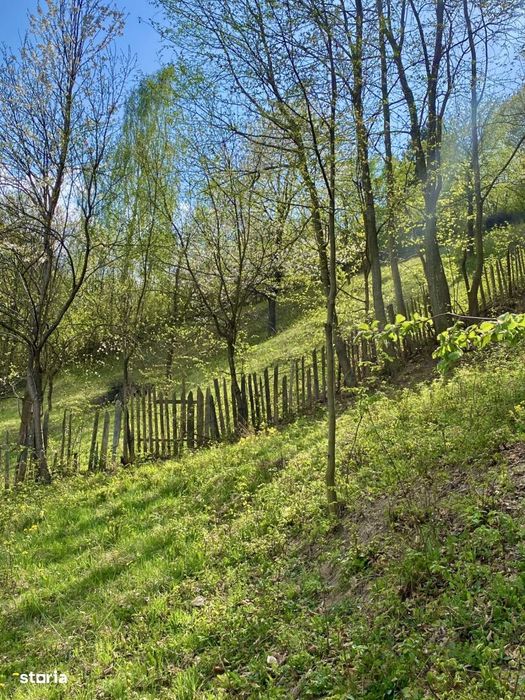 Teren vedere panoramica lacul Paltinu si dealuri in Valea Doftanei