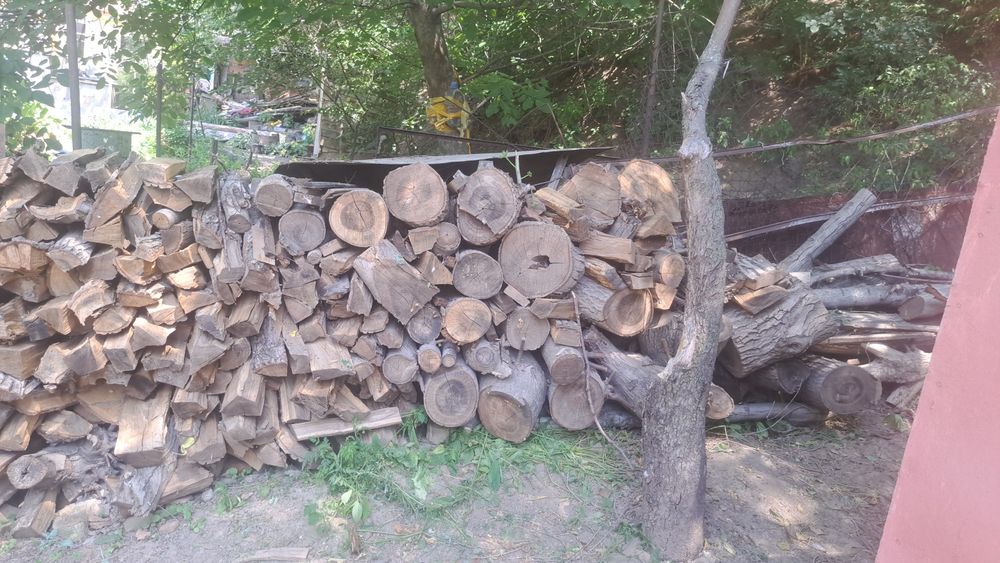 Егорьевскідегі бір түндік кездесу