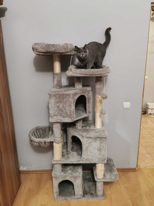 Turn ansamblu de joaca pentru pisici FEANDREA  55x40x164cm