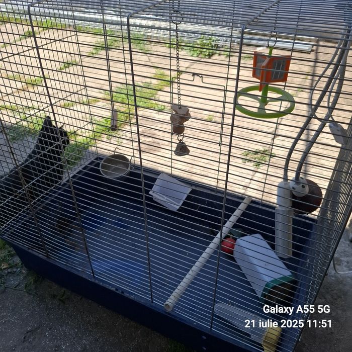 Colivie mare pentru pasari