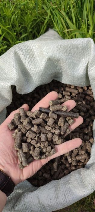 ПШЕНИЦА.Платный чат! Все корма.