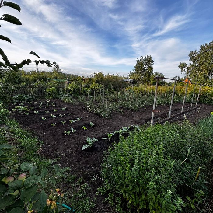 Продам дачу СТ Ромашка.