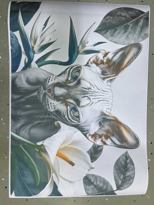 Canon Tc-20 принтер продам