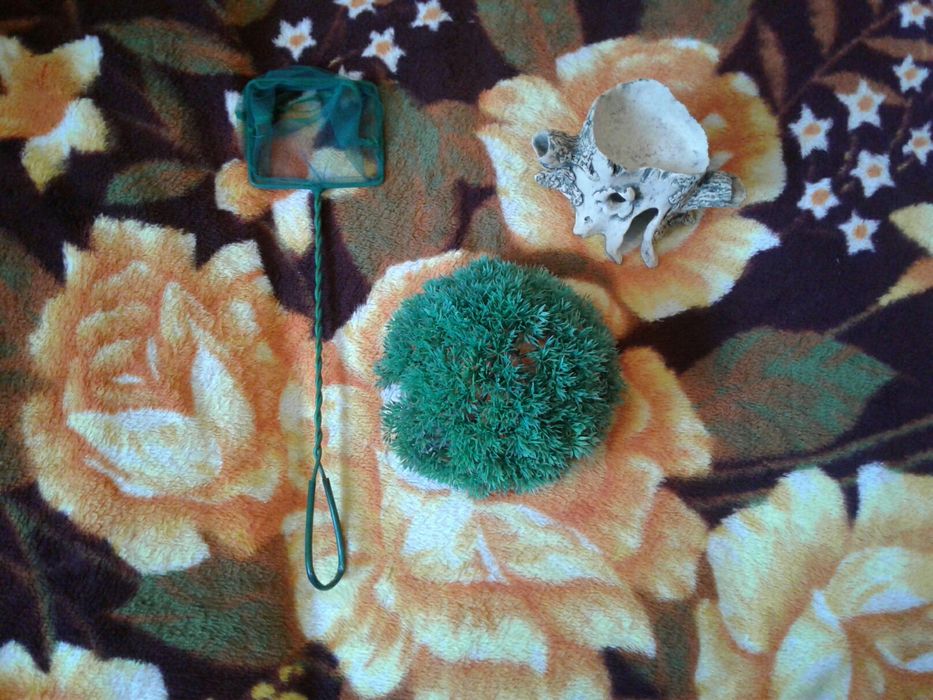 Продам или обмен