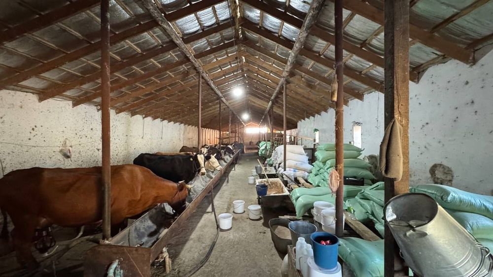 Продаётся фермерское хозяйство 11 га..