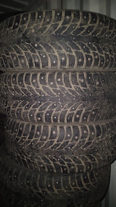 Шины нокиан германия