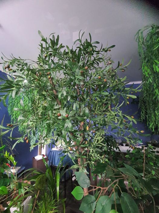 Продам искуственые деревья