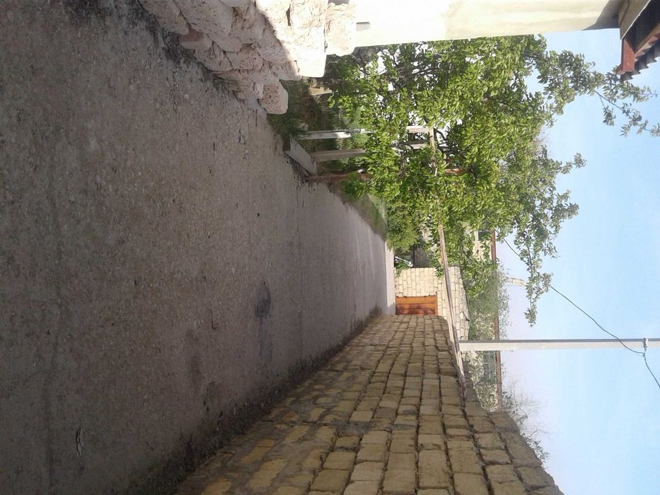 Участок и здание