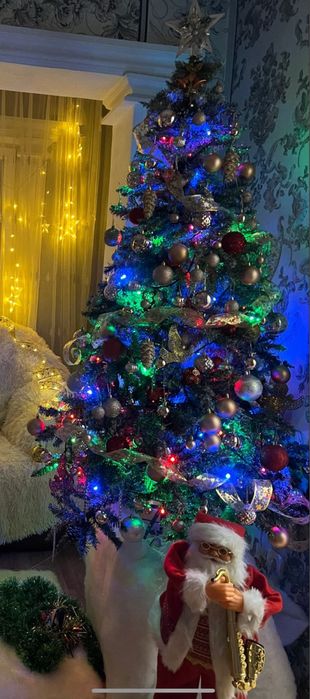 Елка шырша 165 см