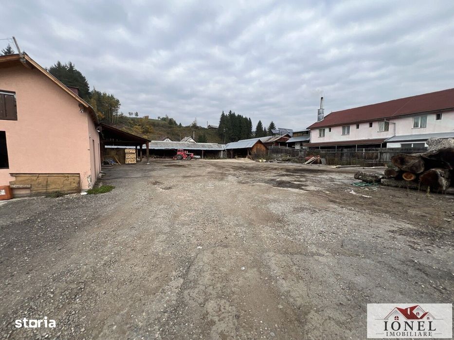 Teren intravilan in Bistra