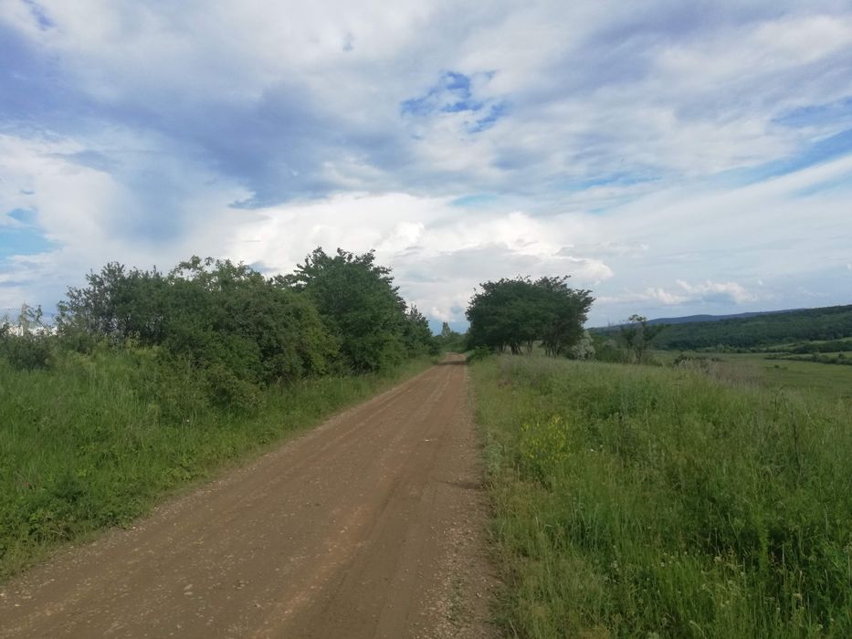 3,5 ha teren Vaculesti