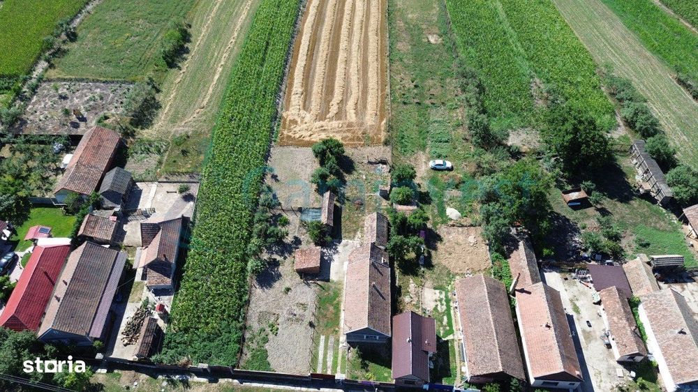 Casa de vanzare EXCLUSIVITATE , Bihor, Gaminvest, V4081