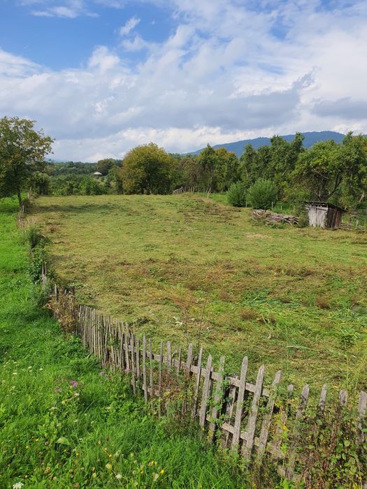 Teren Intravilan Arges, Corbsori