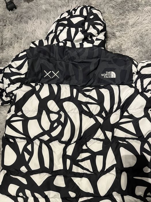 Geaca The North Face