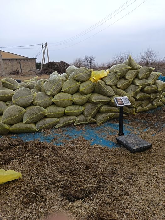 Қопланган донли силос 20 кг