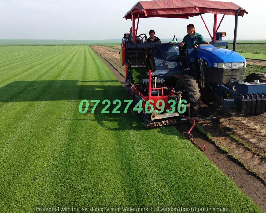 Gazon Premium Verde Intens cu Montaj Disponibil