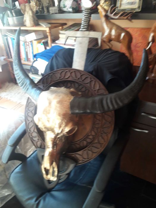 Антикварен уникат! Трофей за дома и офиса