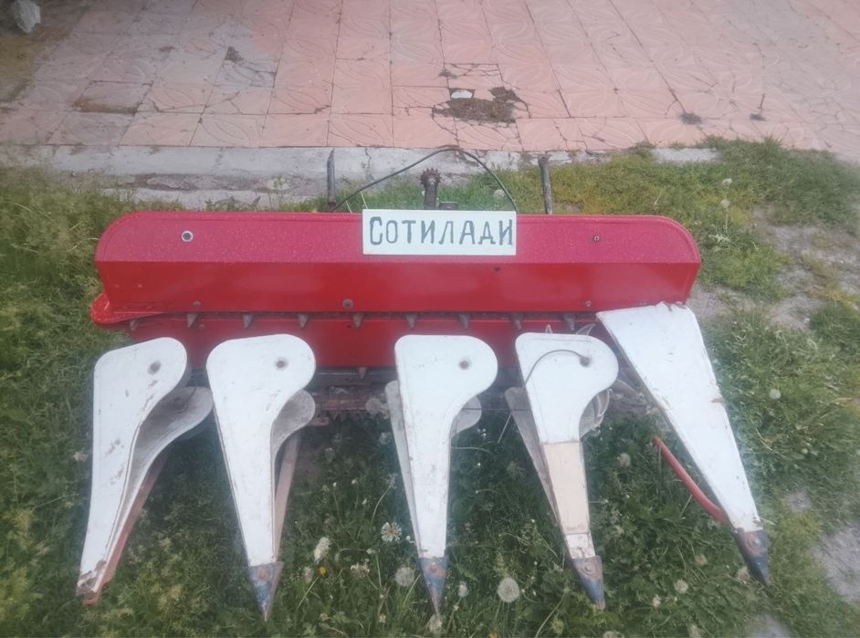 Beda makkayi o'radigan