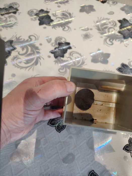 Saeco Vienna Superautomatica