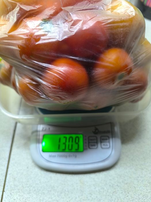 Продам помидоры не дорого