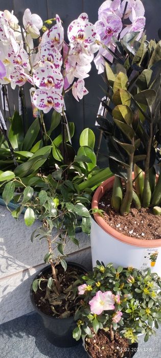 Подарочные цветы на любой праздник