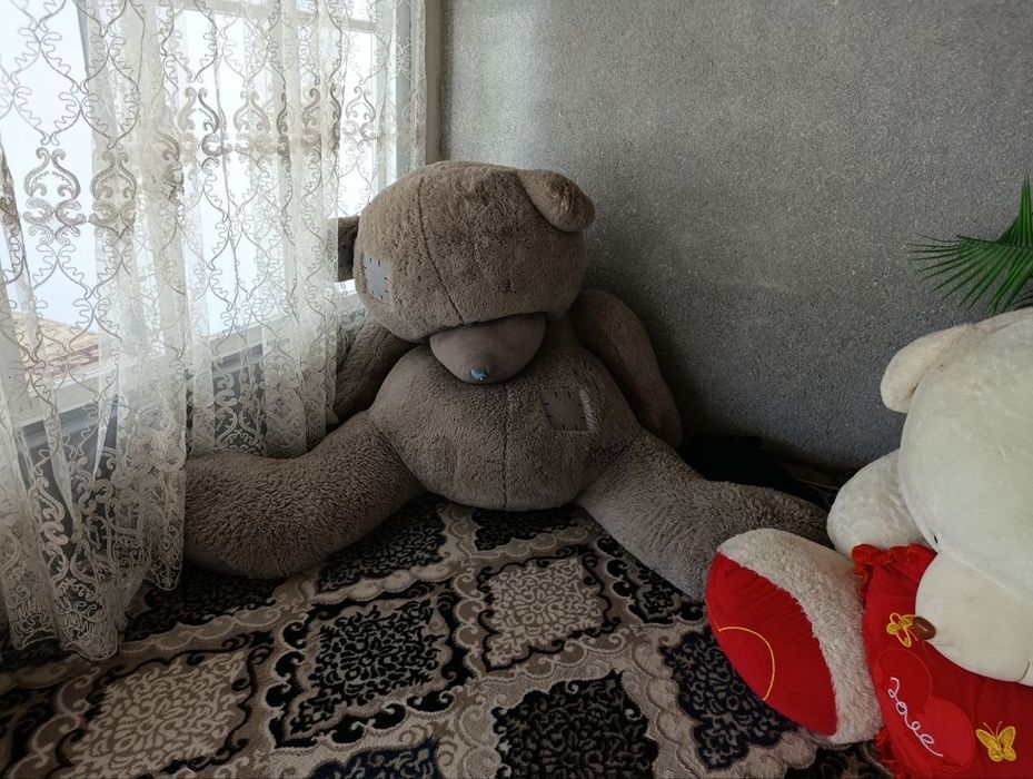Katta yumshoq ayiqlar sotiladi arzon narxda sotiladi