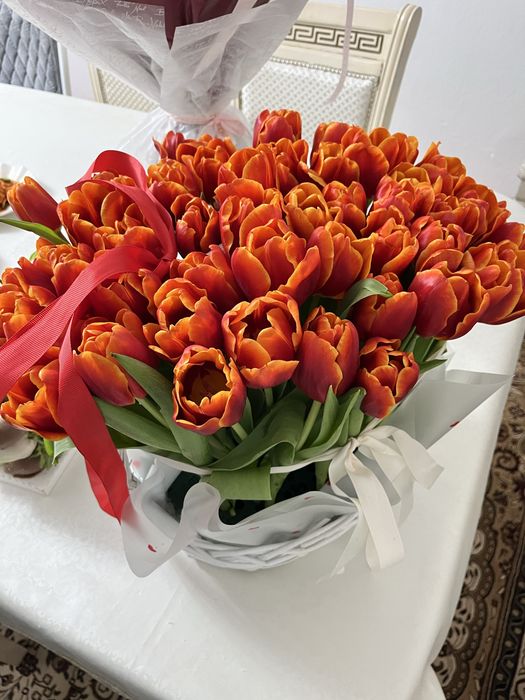 Цветы тюльпан продается