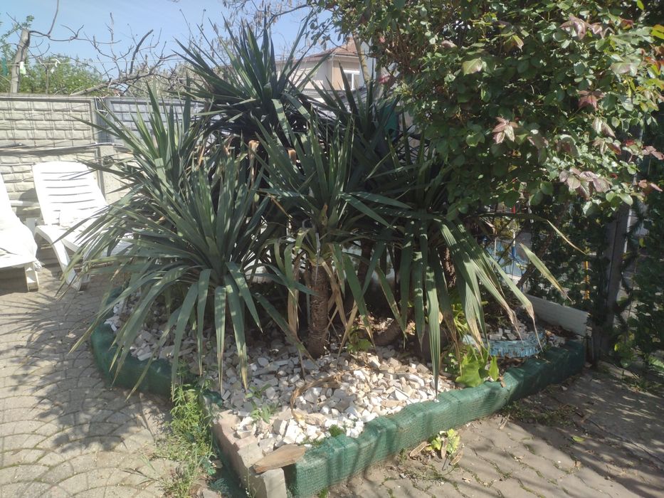 Inchiriez ap la casa pt 1 pers cu 1 catel sau o pisica