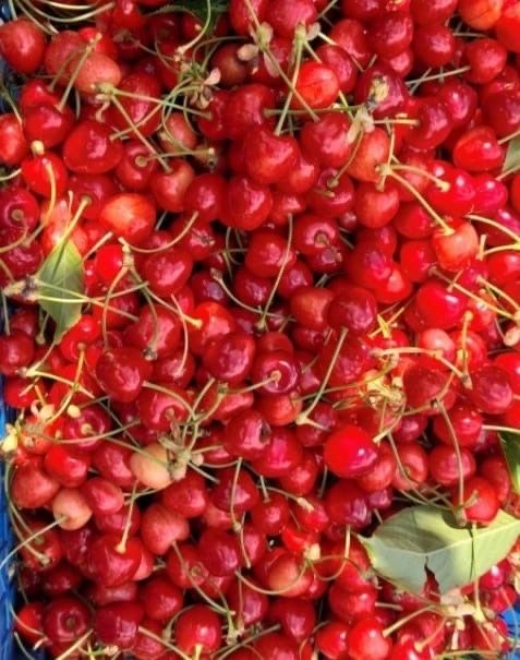 Cireşe Bio dulci Predare personala Beiuş