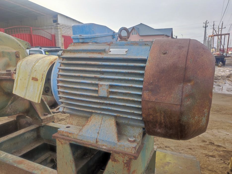 Электродвигатель 55 кВт 1500 об мин