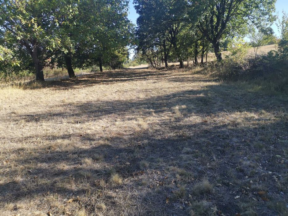 Продава се Парцел в София, Павлово - 1200 кв.м за 8 €/кв.м - Снимка #4