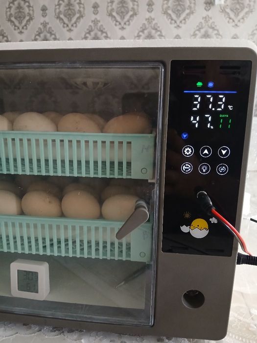 Инкубатор автоматический