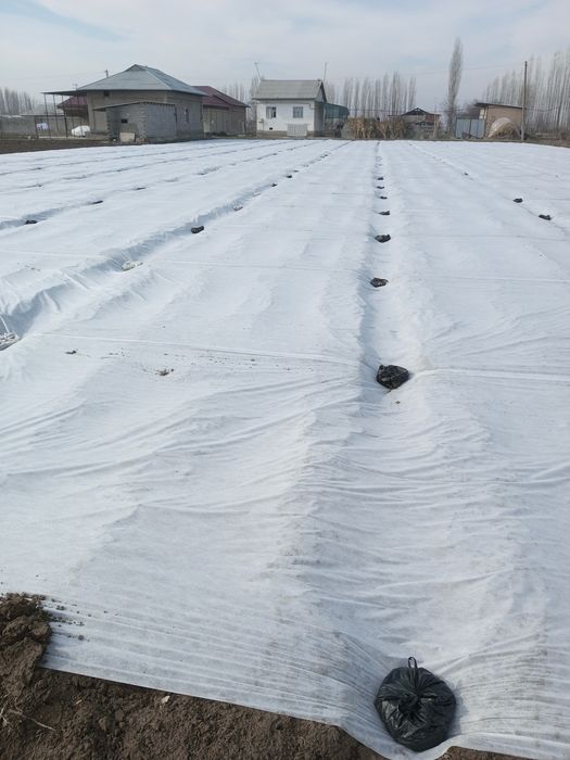 Агроволокно, теплицага термос. Российский. 100% сифатли. Оптом нархда