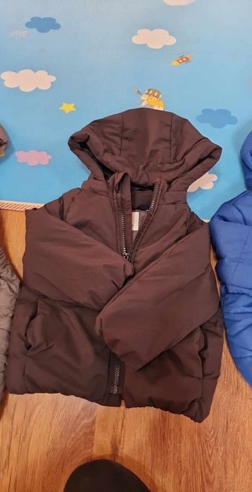 Geci zara și lupilu