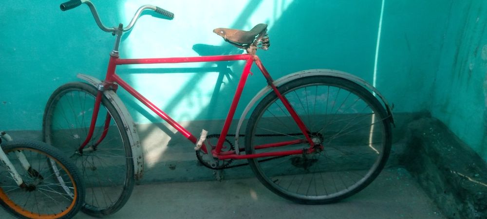 Велики продаются цена договорная