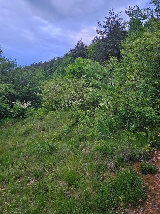 Продава се Парцел в с. Мърчаево, Област София-град - 680 кв.м за 38 €/кв.м - Снимка #4